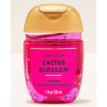 Pocket Sanitizer- Cactus Blossom
