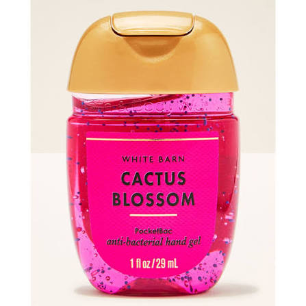 Pocket Sanitizer- Cactus Blossom