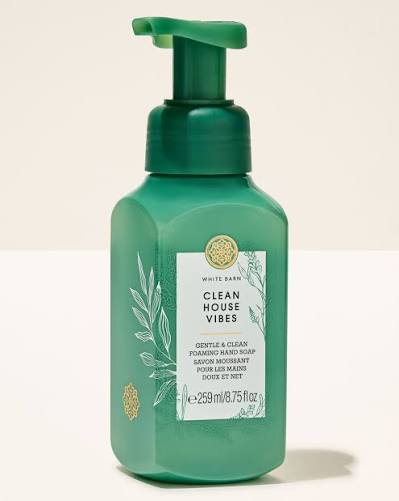 Gentle Foaming Handwash Clean House Vibes