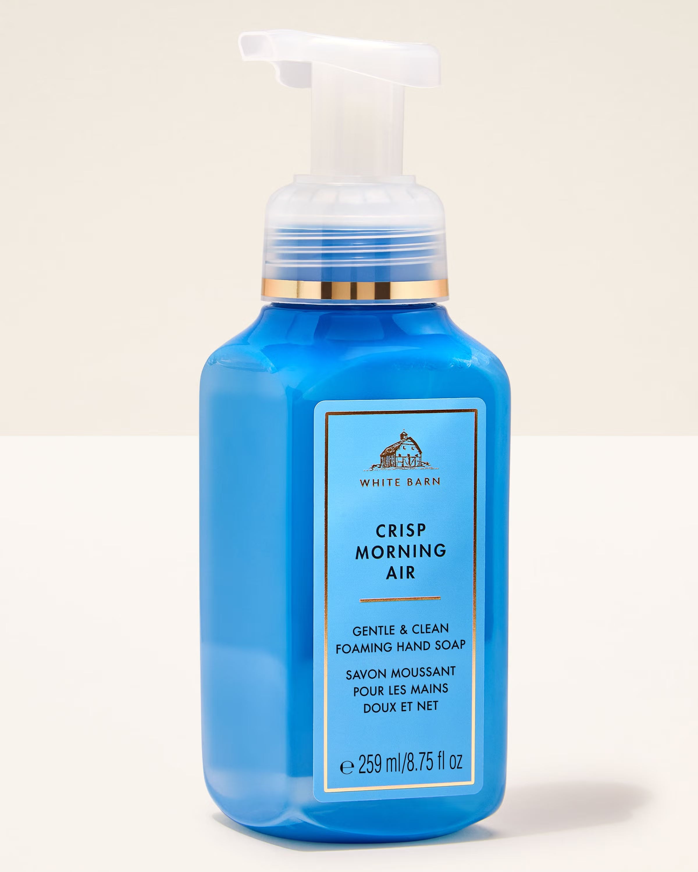 Gentle Foaming Handwash Crisp Morning Air