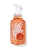 Gentle Foaming Handwash Vanilla Swirl